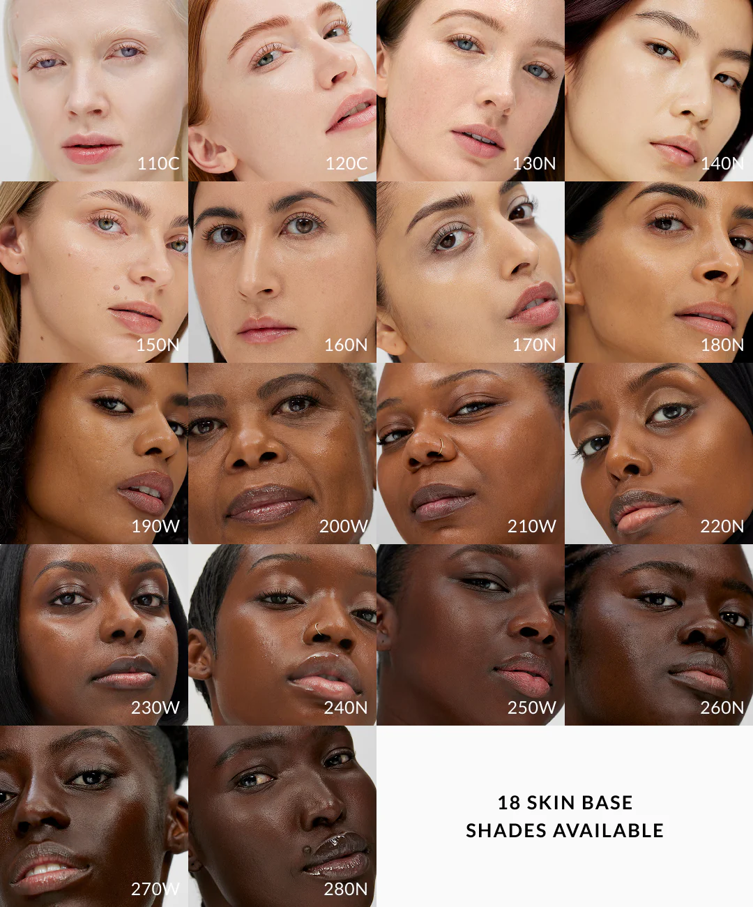 The Base Collection - Image 4
